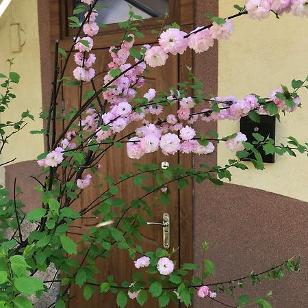 Lviv-Centre Apartments Gorodotska 44 Dış mekan fotoğraf